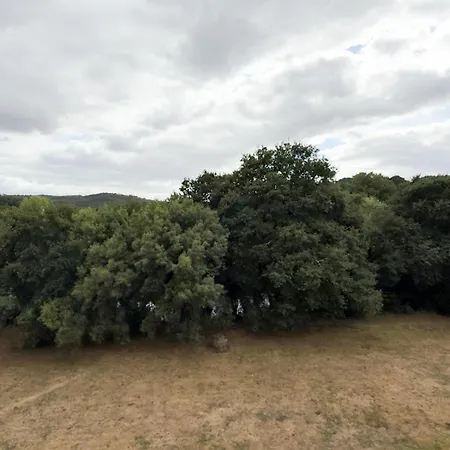 Vivienda Olga, Piso Tranquilo Con Parking A 10 Min De Santiago Apartman *